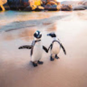 Meet your Posher, Margery